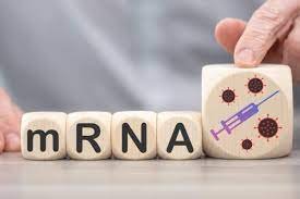image credit- shutterstock