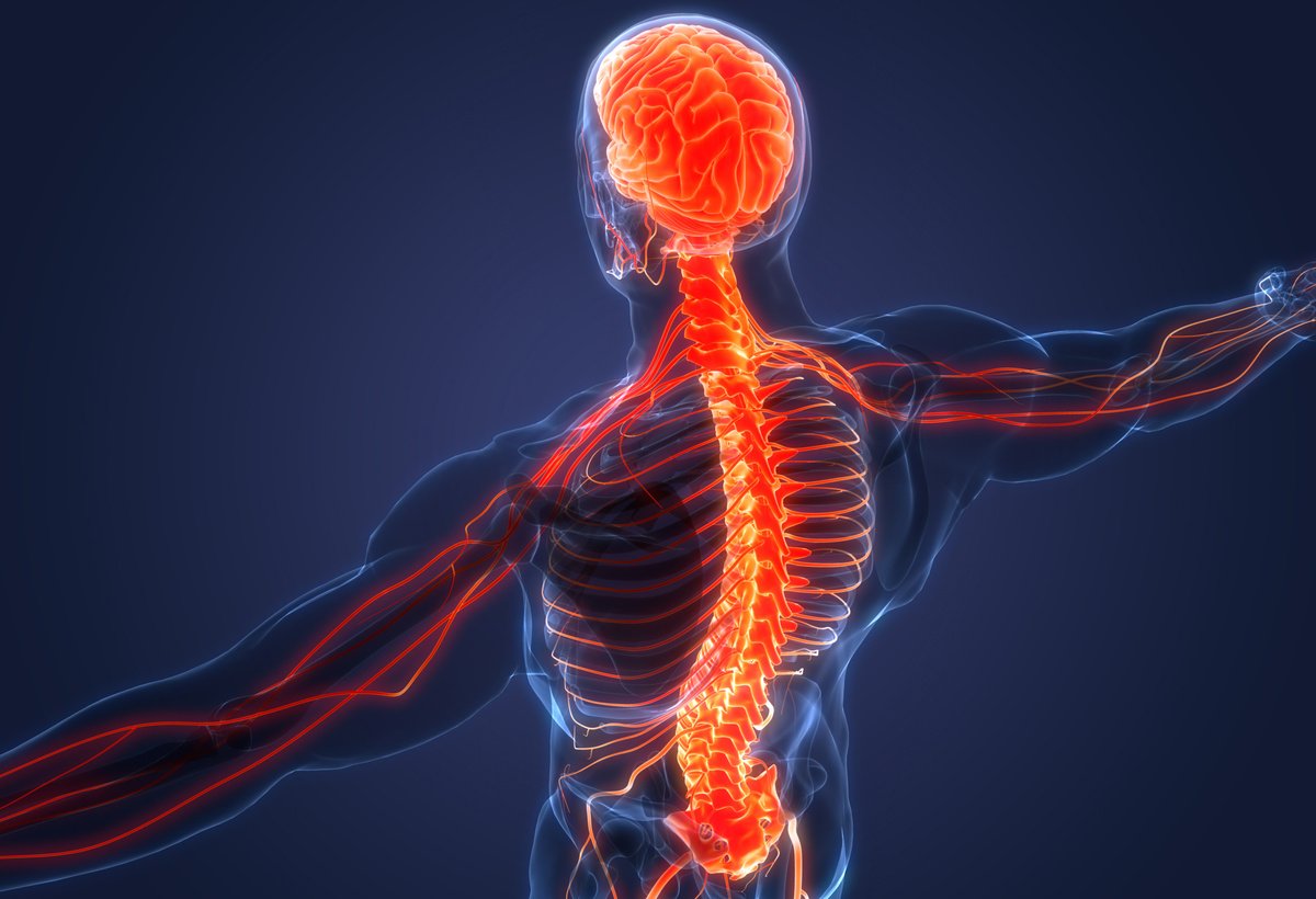 image credit- shutterstock