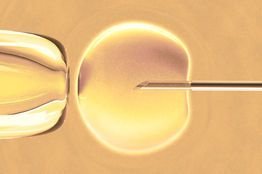 As per the deal, Immunogen will receive $20 million upfront and potential milestone payments of as much as $210 million per target