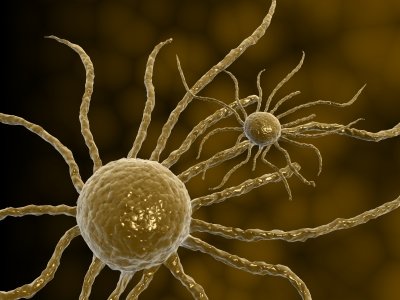 Chronic or persistent inflammation has been shown to increase the risk of cancer and other diseases