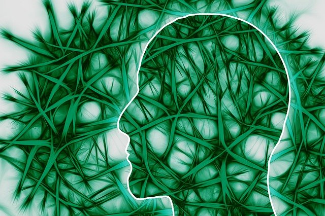 Glioblastoma multiforme is an aggressive brain tumor in humans