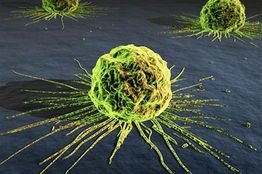 Study - Dendrimer-based formulation of doxorubicin was more efficacious in treating cancer than the drug alone